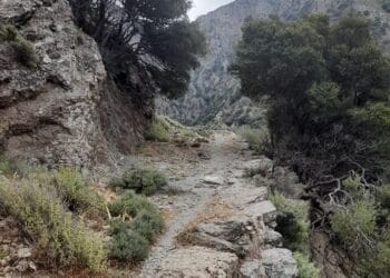 Ορεινοί αγώνες Καβουσίου 2023: Άνοιγμα εγγραφων