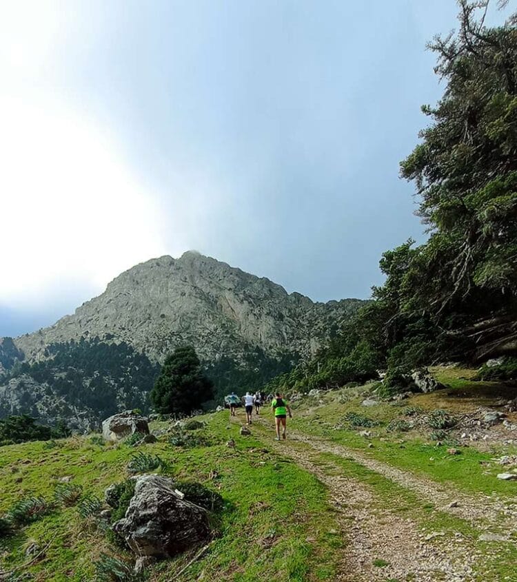 Artemisio Mountain Run 2023: ΔΤ – Aποτελέσματα